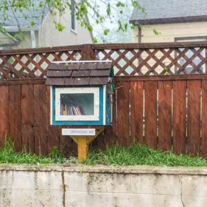How Little Free Libraries Came to Be